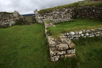 Along the Hadrian's wall between Twice Brewed and Chollerford - Northumberland - England - UK