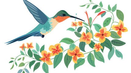 Cartoon hummingbird sipping nectar from flowers flat vector