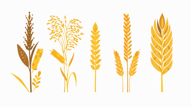 Cereals icon set with rice wheat corn oats rye barley