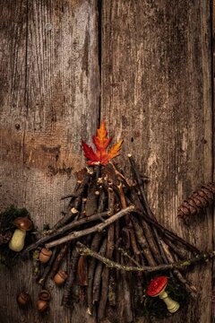Autumn leaves bonfire stop motion, yellow leaves, wooden background