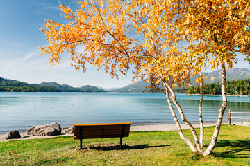 City Beach landscape on a sunny fall day in Whitefish, Montana