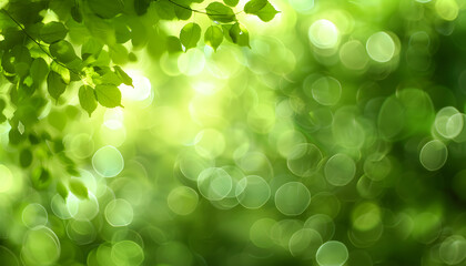Fototapeta premium Minimalist background