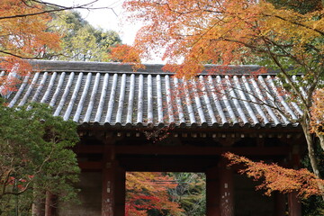 Nichigetsu Gate and autumn leaves in Daigoji Temple, Kyoto, Japan