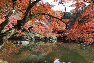 Benten-ike Pond and autumn leaves in Daigoji Temple, Kyoto, Japan