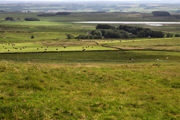 Along the Hadrian's wall between Twice Brewed and Chollerford - Northumberland - England - UK