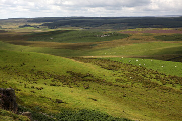 Along the Hadrian's wall between Twice Brewed and Chollerford - Northumberland - England - UK