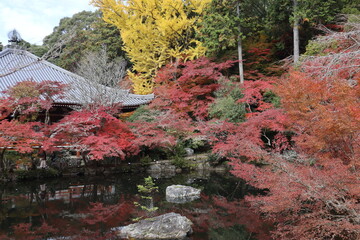 Kannon-do, Benten-ike Pond and autumn leaves in Daigoji Temple, Kyoto, Japan