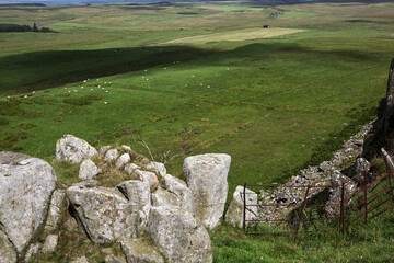 Along the Hadrian's wall between Twice Brewed and Chollerford - Northumberland - England - UK