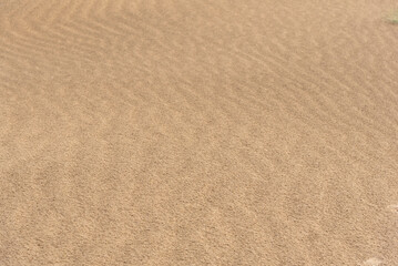 Fototapeta na wymiar Natural background of sand. Useful for designing and background purpose. 