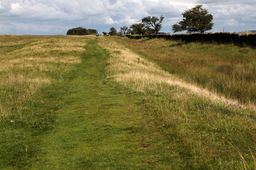 Along the Hadrian's wall between Twice Brewed and Chollerford - Northumberland - England - UK © Collpicto