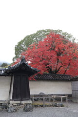 Sanbo-in and autumn leaves in Daigoji Temple, Kyoto, Japan
