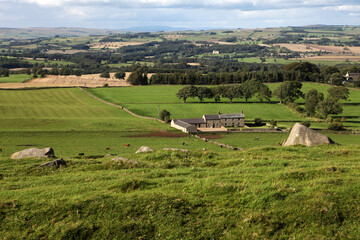 Along the Hadrian's wall between Twice Brewed and Chollerford - Northumberland - England - UK
