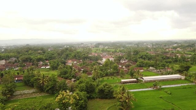 A village and rice fields surrounded by trees
