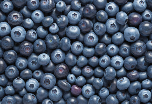 a collection of blueberries isolated on a transparent background colorful background