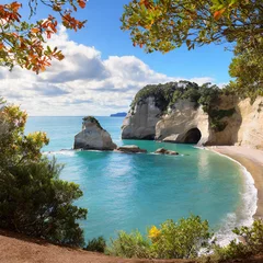 Fototapete Cathedral Cove cathedral cove with the view of the ocean in autumn