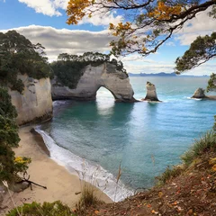 Photo sur Plexiglas Cathedral Cove cathedral cove with the view of the ocean in autumn