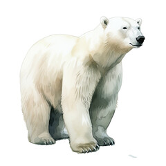 AI-generated watercolor Polar Bear clip art illustration. Isolated elements on a white background.	