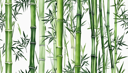 Fototapeta na wymiar bamboo in watercolor style, isolated on a transparent background for design layouts colorful background