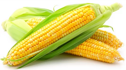 Fotobehang Single ear of corn isolated on white background, Corn cobs with corn plantation field background. The peeled ear of corn, a piece of and seeds on a white, isolated. The view from the top. Falling corn © Sweetrose official 