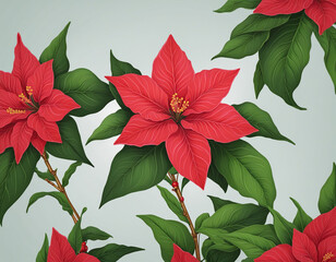 Christmas plant poinsettia colorful background