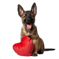 Fototapeta premium Dog Sitting Next to Red Heart