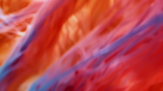 A zoomedin image of a kangaroos muscle tissue displaying long and parallel fibers that give the animal its powerful jumping ability. . AI generation.