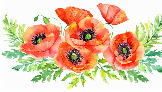 Beautiful composition of watercolor poppy flowers isolated