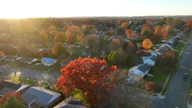 Aerial view of suburban neighborhood with colorful fall foliage at sunset. American houses and development during golden hour.