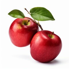 Two freshly picked apples, still on the branch, isolated on white background