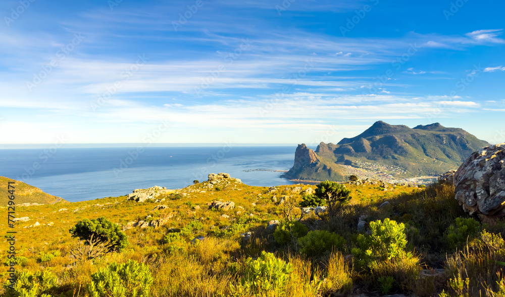 Wall mural Hout Bay Coastal mountain landscape with fynbos flora in Cape Town.