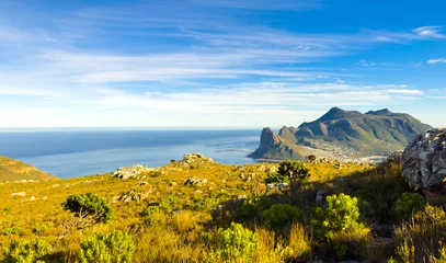 Fototapeten Hout Bay Coastal mountain landscape with fynbos flora in Cape Town. © Sunshine Seeds