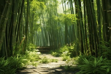 A bamboo forest with its tall, thin stalks and lush green leaves