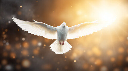 Doves fly in the sky. Christians have faith in Holy Spirit. Silhouette worship to god with love Faith, Spirit and jesus christ. Christian praying for peace. International peace day. - obrazy, fototapety, plakaty