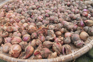 Shallots in woven bamboo called tampah on paving

