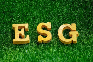 ESG concept of environmental, social, and governance. Sustainable corporation development. words...