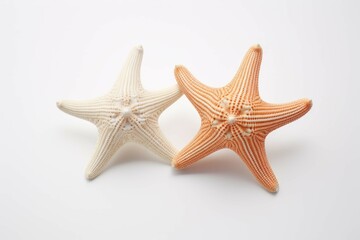 Fototapeta na wymiar two starfish on a white background