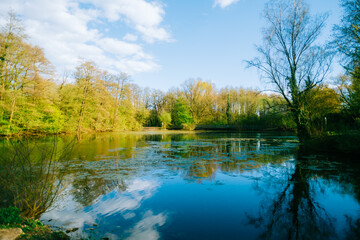 Fototapeta na wymiar Landscape of the lake in natural parkland in Europe.