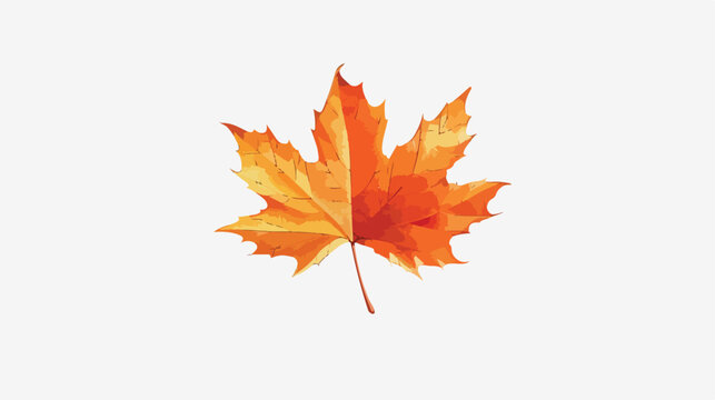 Maple tree leaf vector image Flat vector