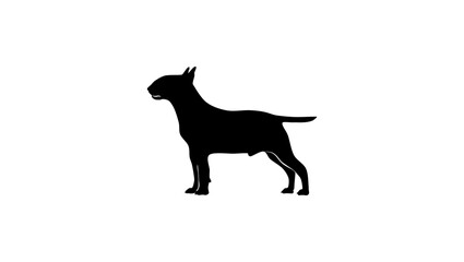 bull terrier, black isolated silhouette