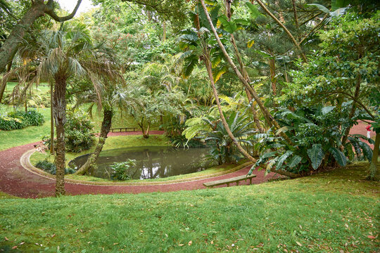 Antonio Borges Botanical Garden in Ponta Delgada on the island of Sao Miguel, capital of the Azores.
