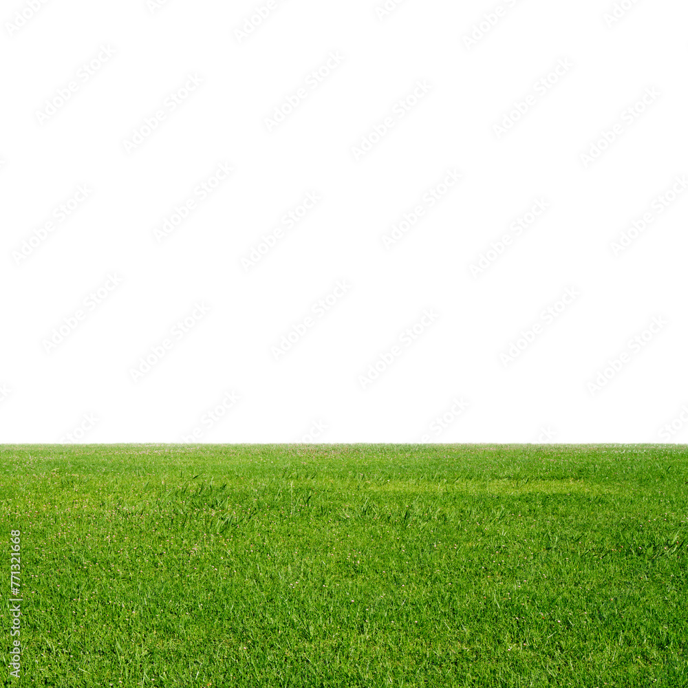 Poster a strip of green grass at the bottom with a vast white background, ideal for design layouts with a n