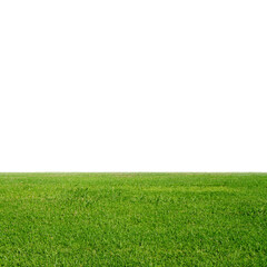 A strip of green grass at the bottom with a vast white background, ideal for design layouts with a...