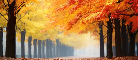 Vivid trees displaying green, yellow, orange, and red autumn leaves in a serene park setting with the ground covered in fallen foliage - Powered by Adobe