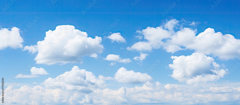 Poster numerous fluffy clouds float in the sky over a field of green grass, with white cumulus clouds again