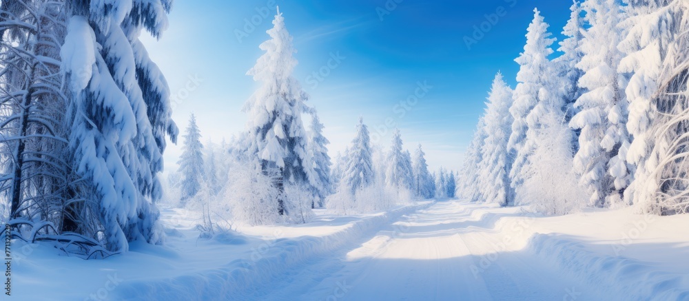 Poster snow-covered path winding through a winter forest with trees draped in snow under a sunny sky