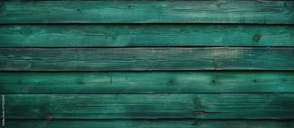 Aufkleber close-up view of a textured green wooden wall with a matching wooden floor in a simple and clean des