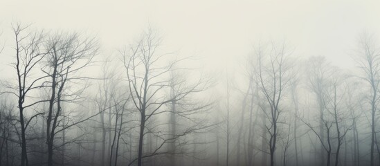 A peaceful scene in a misty forest with a lone bench surrounded by bare tree branches and silhouettes