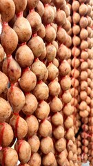 Isaan sausage, Thai street food style