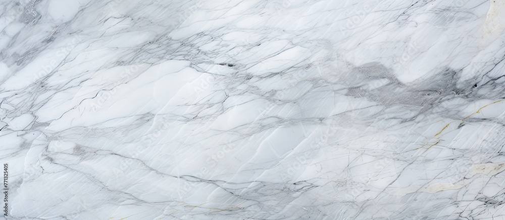 Poster a classic and elegant marble texture featuring a natural black and white pattern, perfect for use as