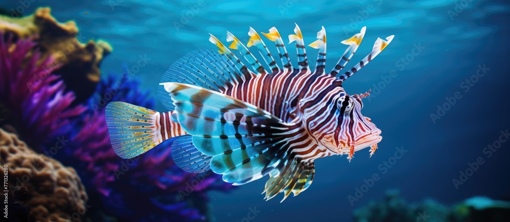Poster vibrant lionfish with intricate patterns gracefully glide through the water along with various tropi